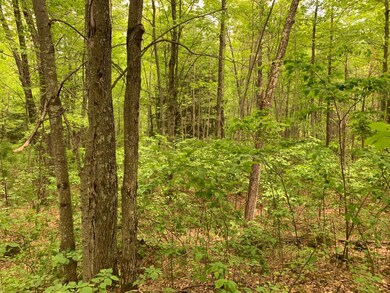 Lot 5 Somo Ridge Dr, Tomahawk, WI 54487 - photo 7
