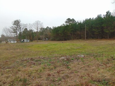DSC00439