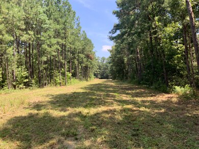 Tbd Redich (14 36) Rd, Eunice, LA 70535 - photo 4