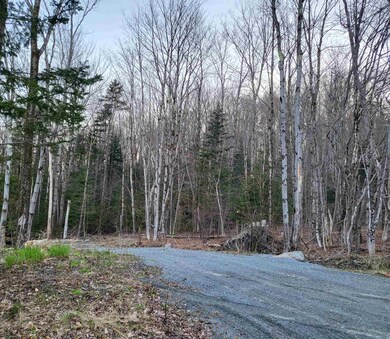 1900 Howe Pond Rd, Readsboro, VT 05350 - photo 2