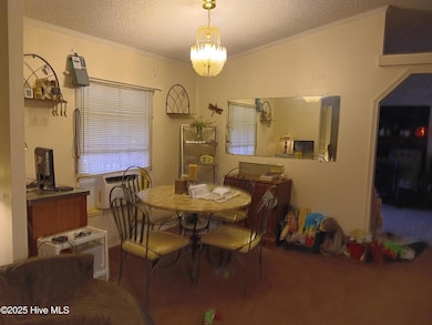 825 Putnam Church Rd, Carthage, NC 28327 - photo 5