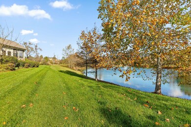 Rear Yard