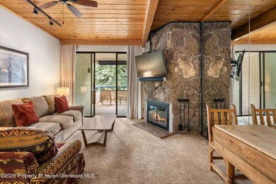 301 E Hyman Ave unit 202, Aspen, CO 81611 - photo 7