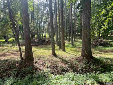 Lots 12 & 13 Denbo Cir, Harvest, AL 35749 - photo 4