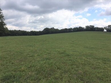 1 Shelbyville Mills Rd, Shelbyville, TN 37160 - photo 2