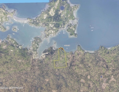 19+ acres and 1100 feet of shoreline