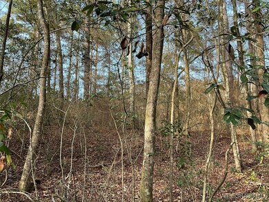 805 Lessie Culpepper Rd, Coffee Springs, AL 36318 - photo 7