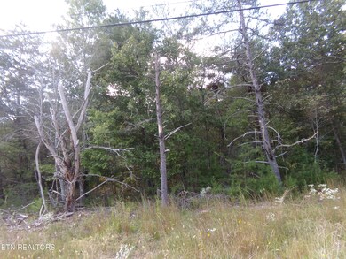 3020 Oswego Rd, Crossville, TN 38572 - photo 7