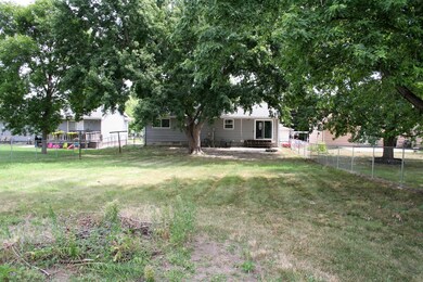 Backyard  b