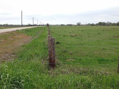 16535 Hurta Rd, Needville, TX 77461 - photo 4