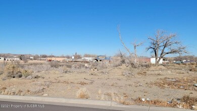 XXX Bloomfield Blvd 0.200 sized