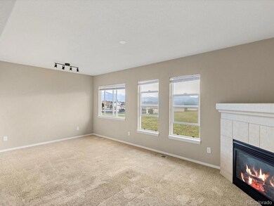 5346 Sunshade Point, Colorado Springs, CO 80923 - photo 7