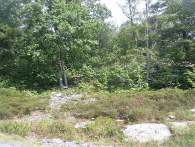 104 Blue Heron Way, Hawley, PA 18428 - photo 7