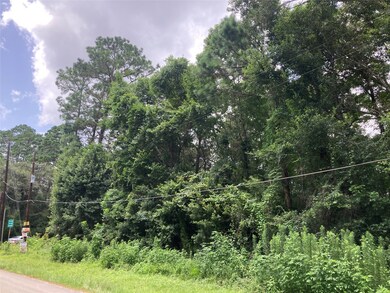 27 County Road 431, Dayton, TX 77535 - photo 3