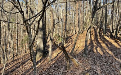 L2458 Montage Dr, Ellijay, GA 30540 - photo 2