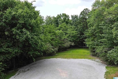 0 Rebecca Trail unit 6.07 ac 21420735, Anniston, AL 36207 - photo 3