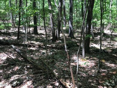 LOT 22,23 Covered Bridge Dr, Palmyra Township, PA 18428 - photo 2