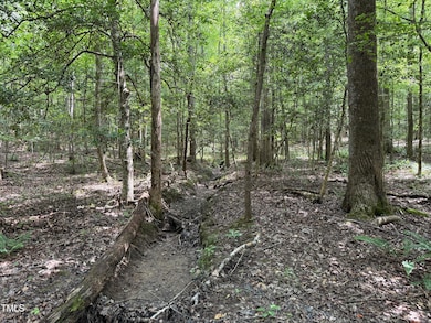 3848 Furrow Ln, Franklinton, NC 27525 - photo 6