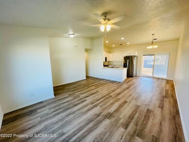 317 Valle Bonita Dr, Farmington, NM 87401 - photo 5