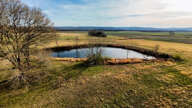pond north