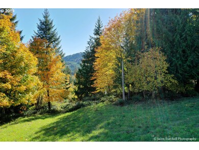 4 Briarwood Dr unit 4, Scappoose, OR 97056 - photo 3