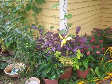 1564 Wesley Chapel Rd, Somerset, KY 42501 - photo 4