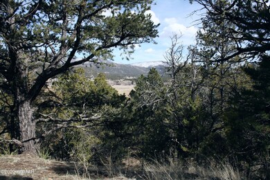 HillsideEdgeLookingEast