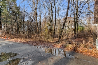 55A Richardson St, Billerica, MA 01821 - photo 4