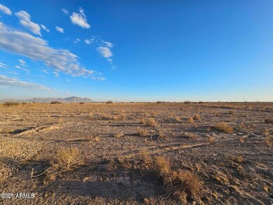 0 S Undetermined Rd unit 98-99 6891908, Casa Grande, AZ 85122 - photo 6