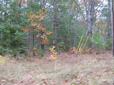 IMG_1899