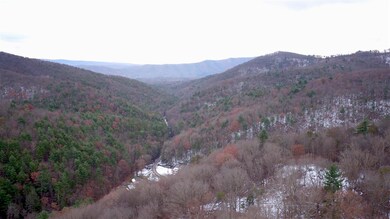 21555 Overly Hollow Rd, Plains, VA 22811 - photo 7