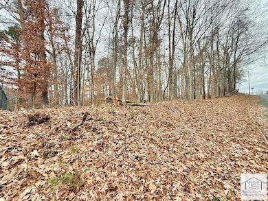 802 Independence Dr, Martinsville, VA 24112 - photo 3