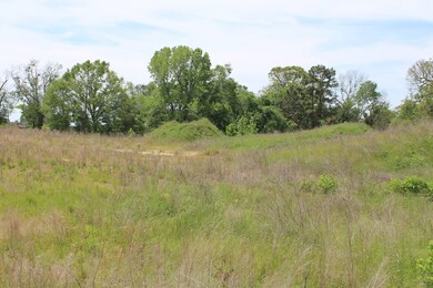 0 Cr 820 unit 62479, Nacogdoches, TX 75969 - photo 5