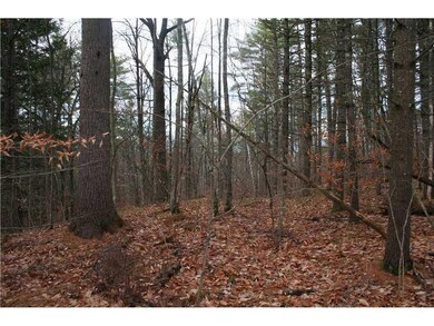 Land/Lot. Interior view.