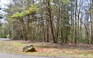 Additional View
