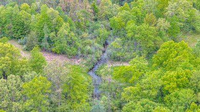 Maple Dr (VL) Michigan Center MI (Aerial