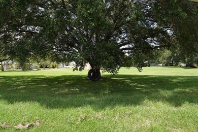 Wonderful Trees