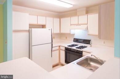 5313 Wagon Shed Cir, Owings Mills, MD 21117 - photo 7