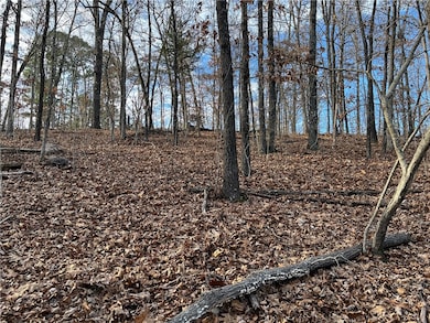 Lot 24, Block 13 Dewsbury Dr, Bella Vista, AR 72714 - photo 5