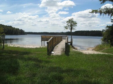 54 Lake Ellen Shores Dr, Crawfordville, FL 32327 - photo 5