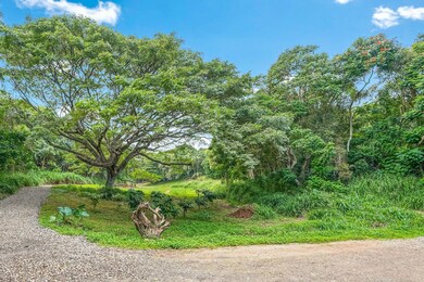 5409 Laipo Rd unit 2, Kapaa, HI 96746 - photo 4