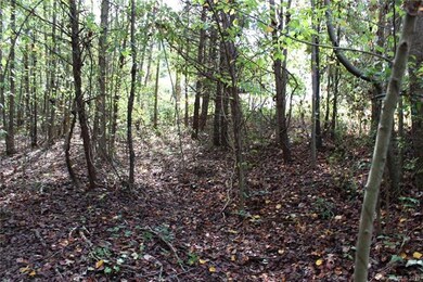 L54 Bowman Rd, Statesville, NC 28625 - photo 7