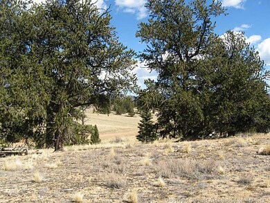 Land/Lot.