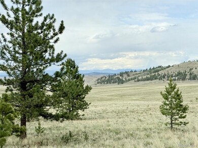 311 Harness Way, Hartsel, CO 80449 - photo 7