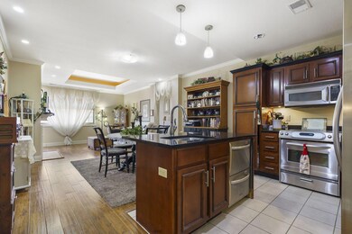 Open Kitchen and Living Area