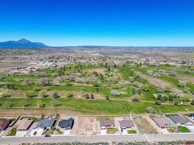 Lot 22A Golf Course Ln, Cortez, CO 81321 - photo 7