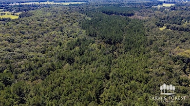 Coates Road (Off), Bonifay, FL 32425 - photo 3