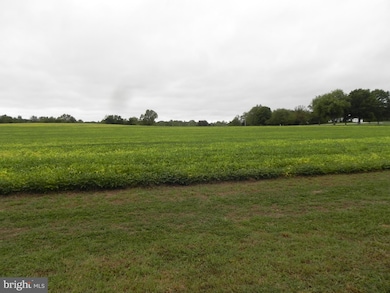 0 Sewall Rd unit NJCB2020490, Bridgeton, NJ 08302 - photo 4