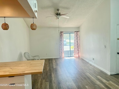 1036 Mary Joye Ave, Indian Harbour Beach, FL 32937 - photo 4