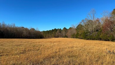 0 Oscar Walton Rd unit 24714036, Tignall, GA 30668 - photo 7